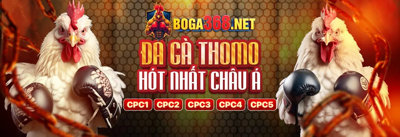Sân đấu đá gà trực tuyến 99kk sôi động